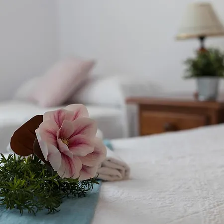 Avenida Playa 3 2 Baños Cadiz