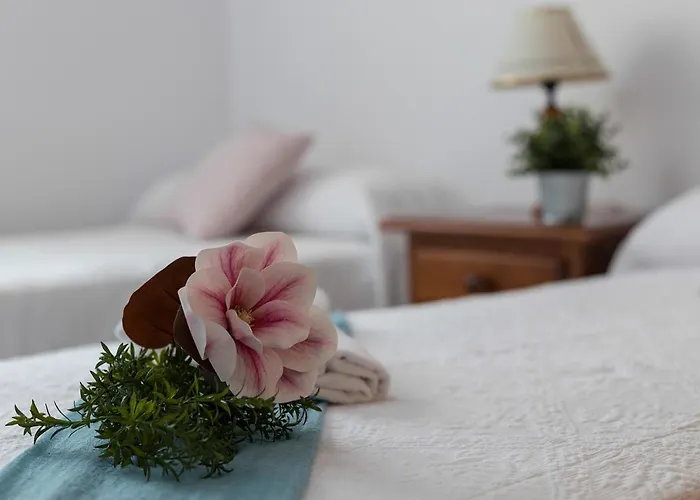 Avenida Playa 3 2 Banos 加的斯